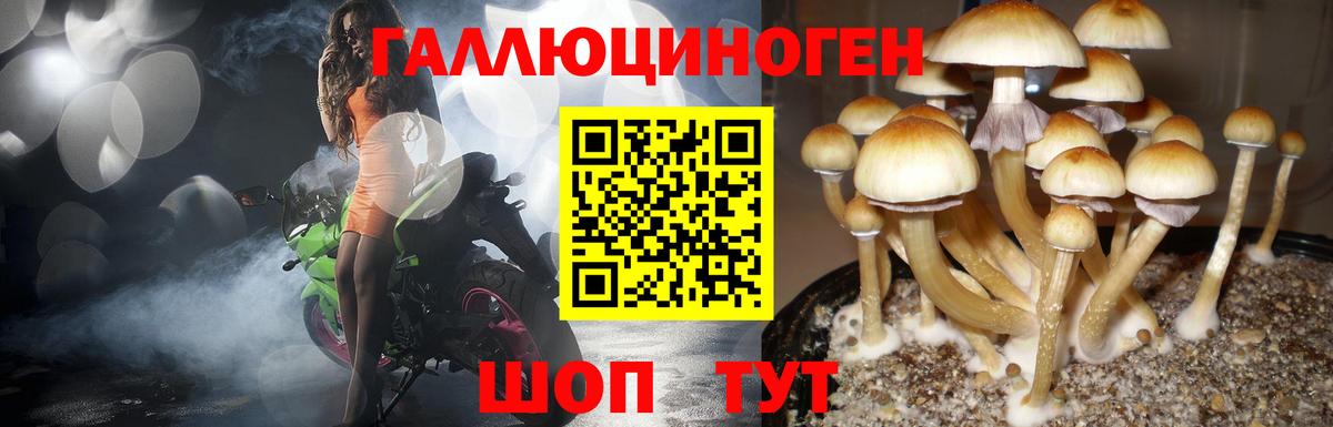 Асбест  Псилоцибиновые грибы мухоморы  Псилоцибиновые грибы GOLDEN TEACHER  Вход с VPN 
